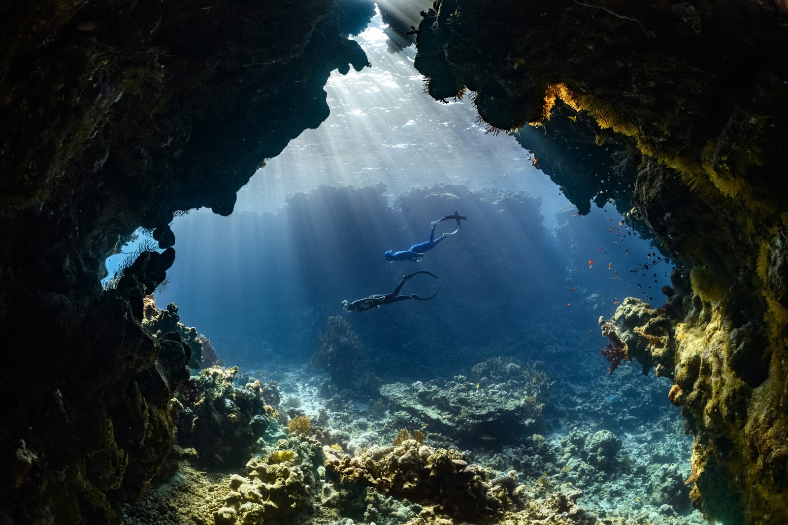 15 Best Scuba Diving Destinations in the World (2026)